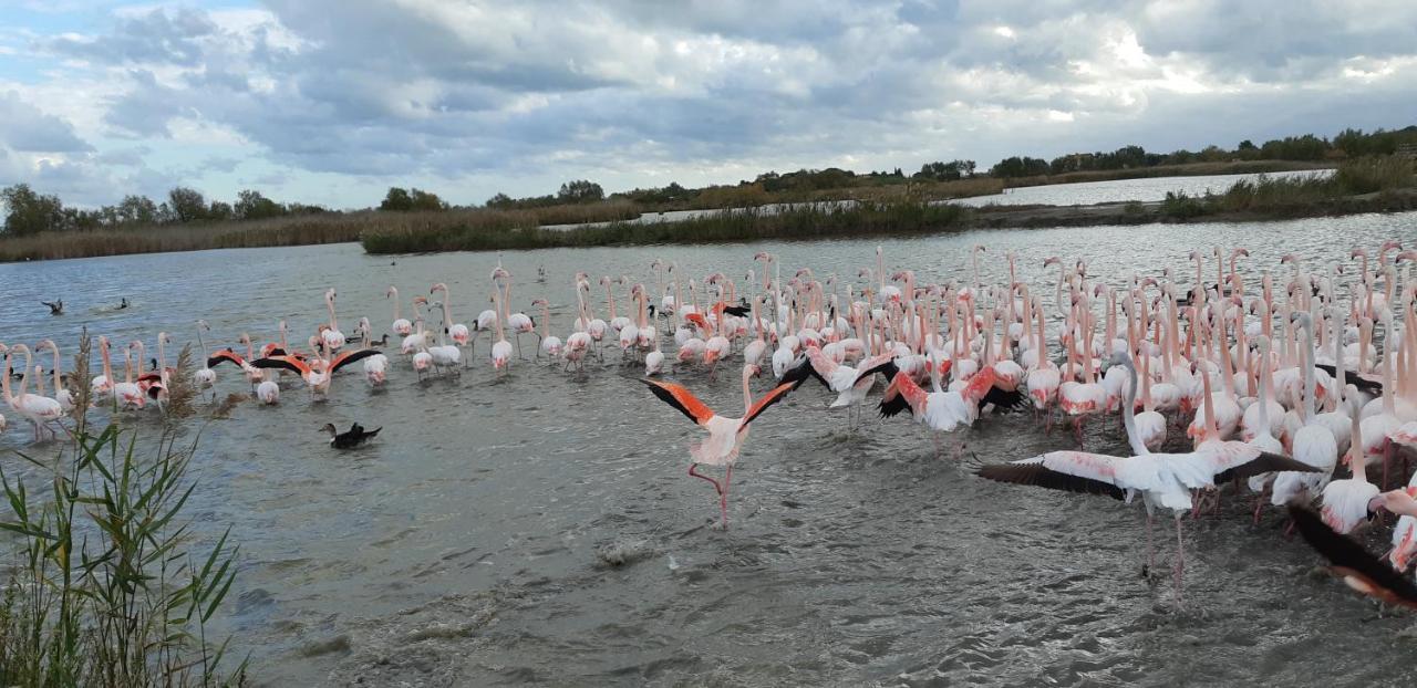 L'Effet Mer Arles Exteriér fotografie