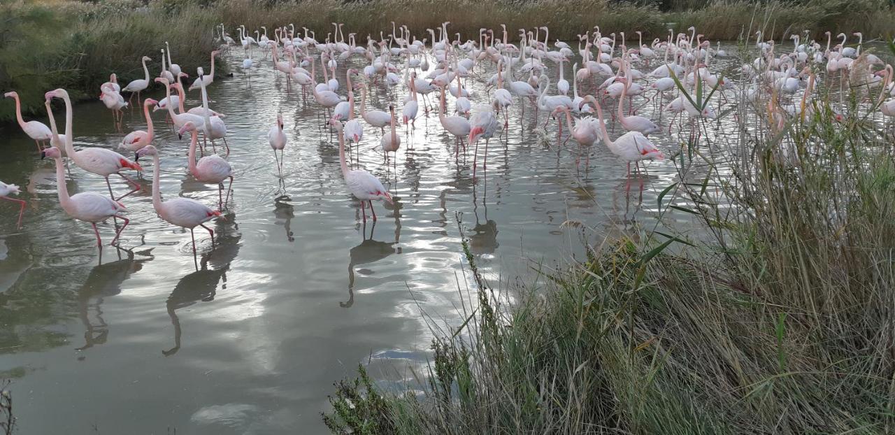 L'Effet Mer Arles Exteriér fotografie